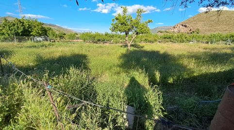 Foto 4 de Finca rústica en venda a Laujar de Andarax, Almería