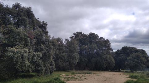Foto 4 de Residencial en venda a La Pizarra, San Lorenzo de El Escorial
