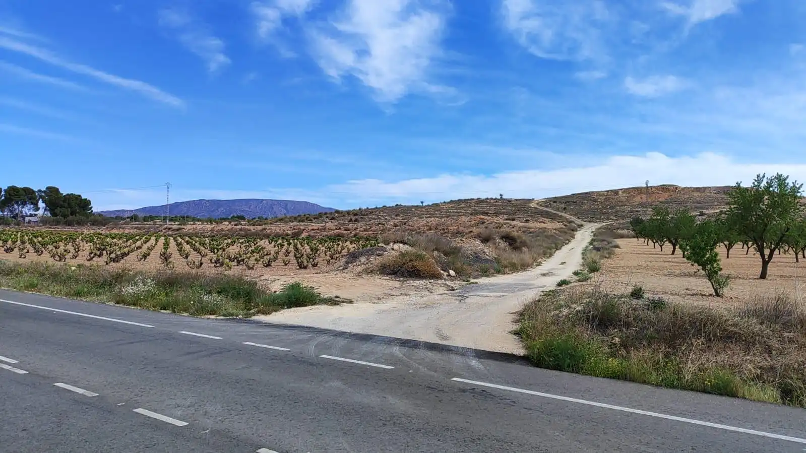 Rural land for sale in El Pinós / Pinoso, imagen 5