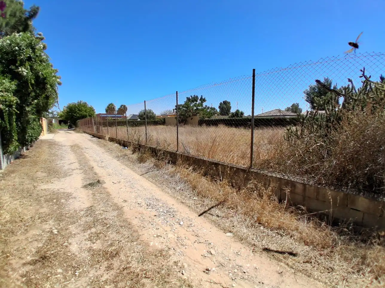 Residential land for sale in Pinar de la villa, imagen 16