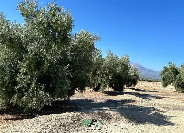 Terreni e lotti in vendita a Calle de la Magdalena, imagen 5