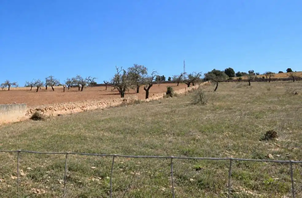 Terreny residencial en venda a Ariany, imagen 7