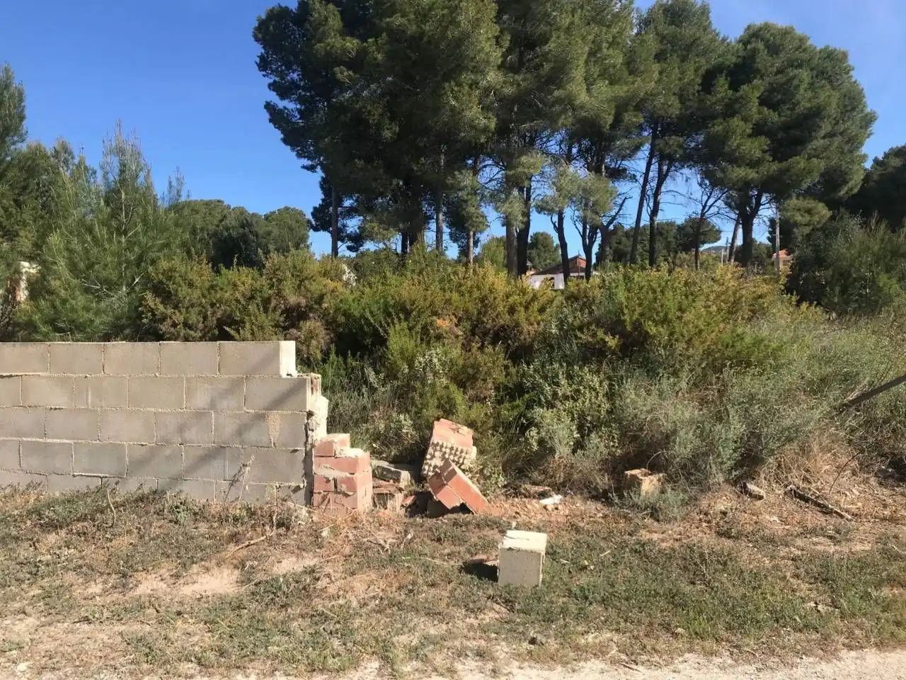 Terreny residencial en venda a Cabra del Camp, imagen 3