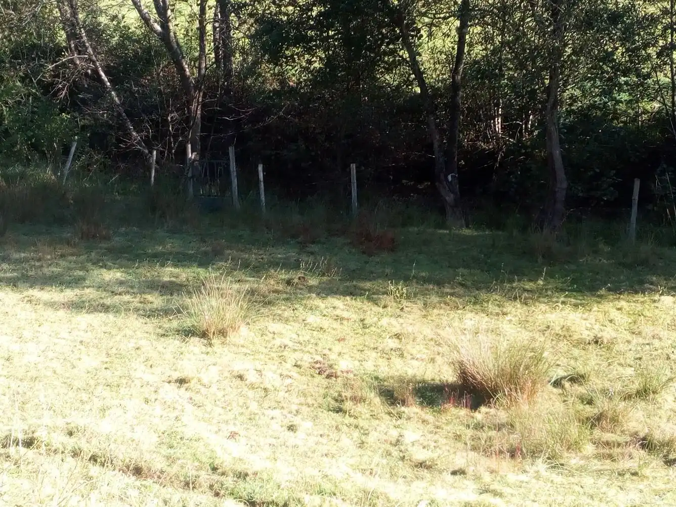 Residential land for sale in Valdáliga, imagen 2