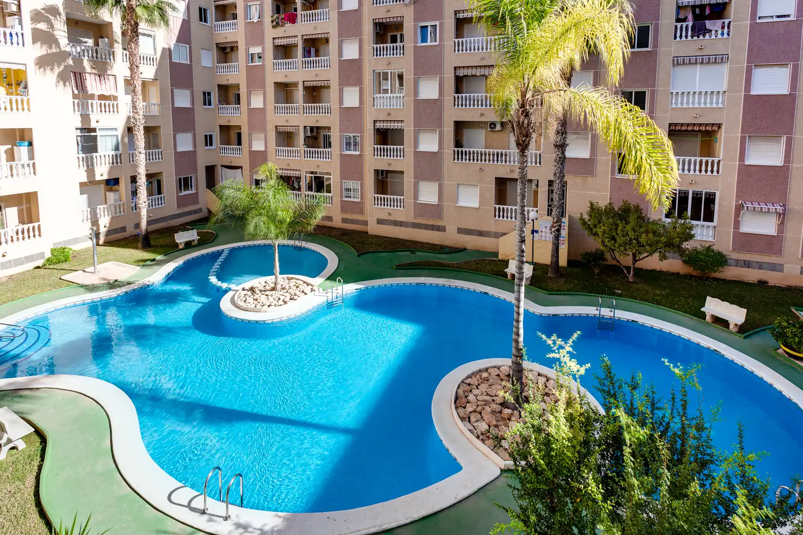 Piscina de Estudio en venta en Torrevieja con Terraza, Amueblado y Piscina comunitaria