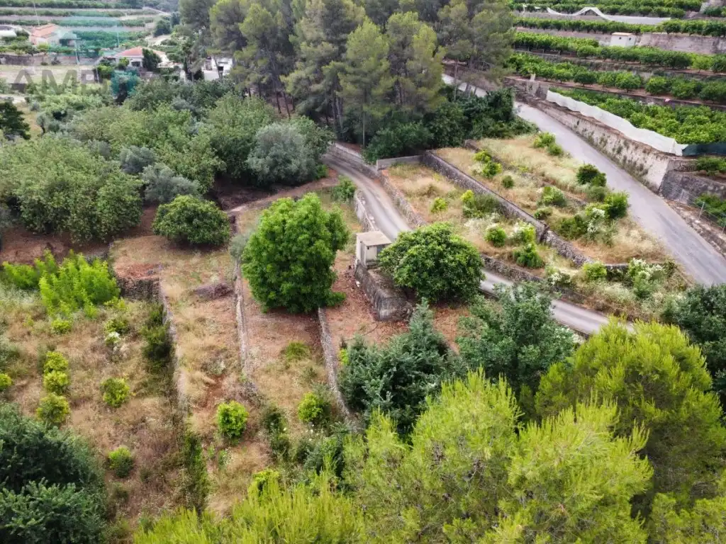 Rural land for sale in Partida Castello, imagen 7