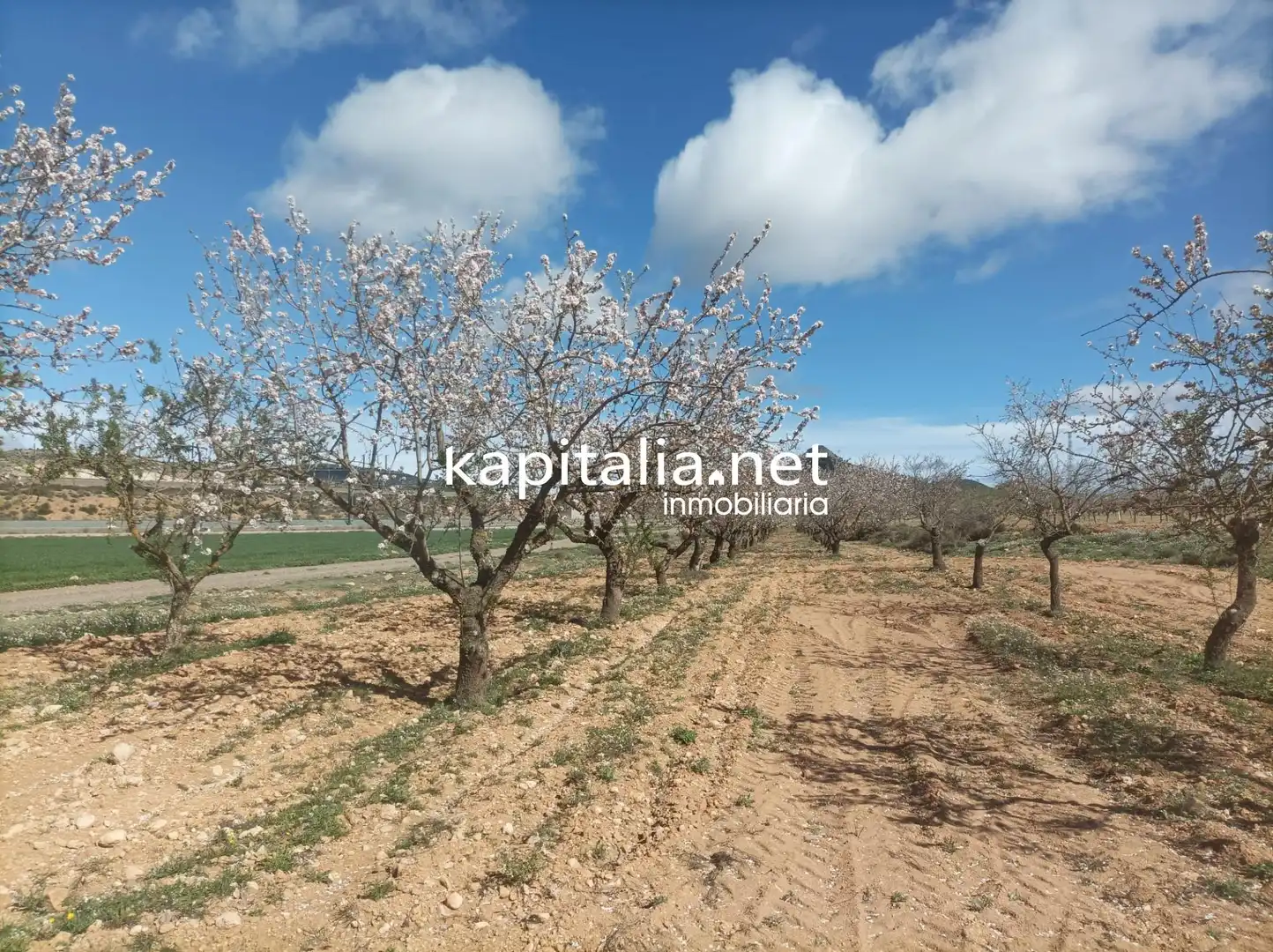 Rural land for sale in Las Cruces