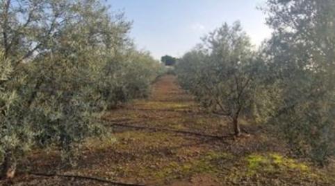 Foto 4 de Casa o xalet en venda a Humilladero, Málaga