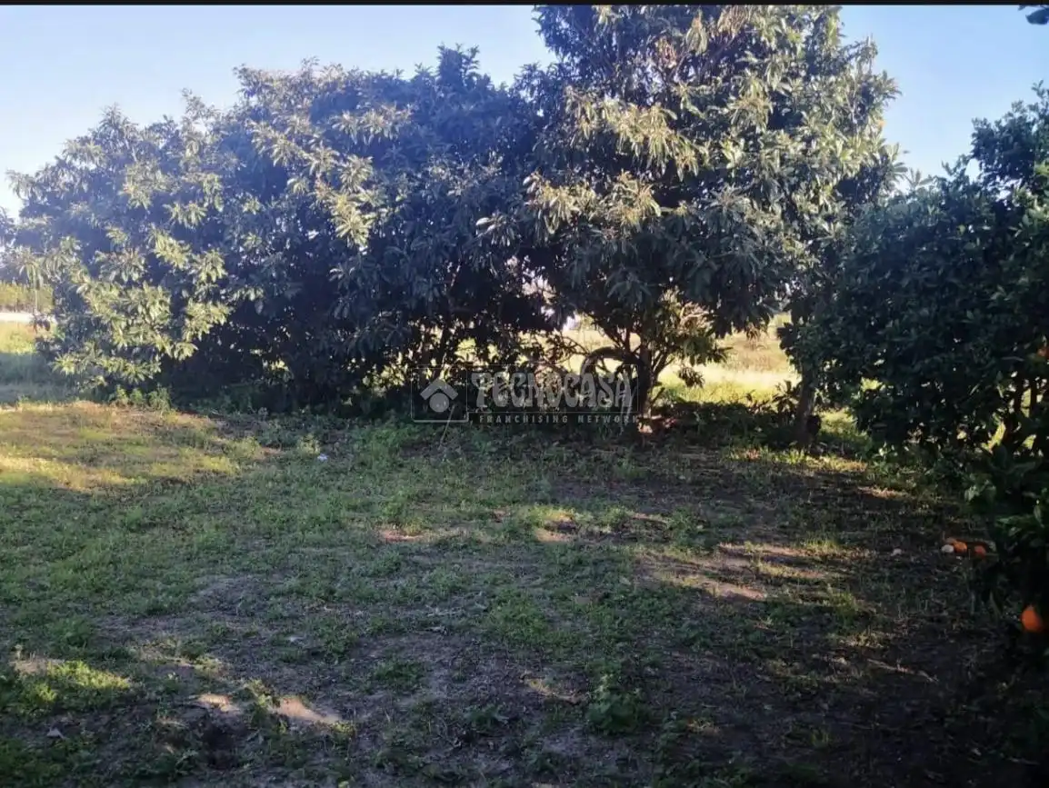 Terreno rustico in vendita a Barbate ciudad, imagen 15