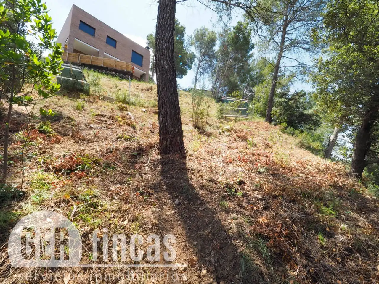 Rural land for sale in Calle Josefa Comellas, imagen 4