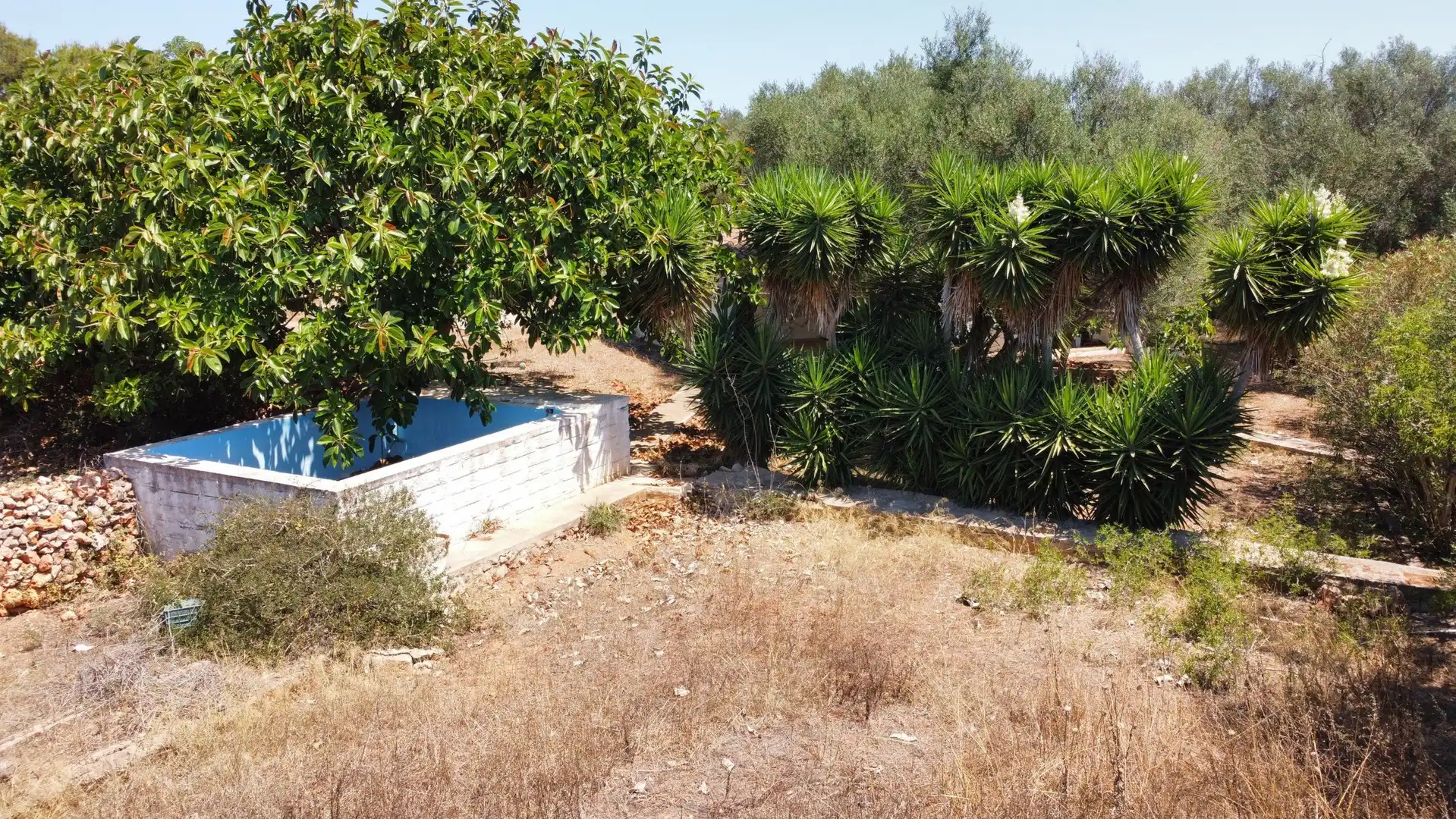 Landhaus mit Pool zum Verkauf in Cala d'en Bosch - Serpentona, imagen 5