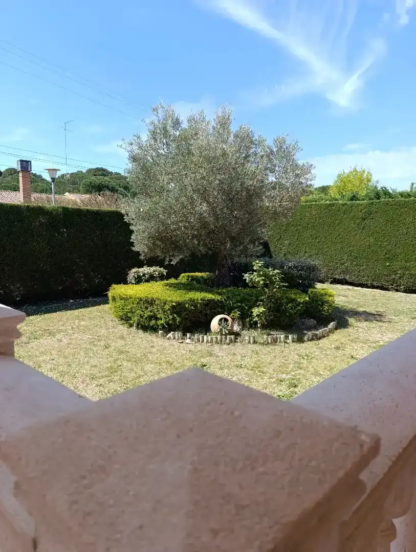 Jardí de Casa o xalet en venda en Valladolid Capital amb Piscina i Balcó