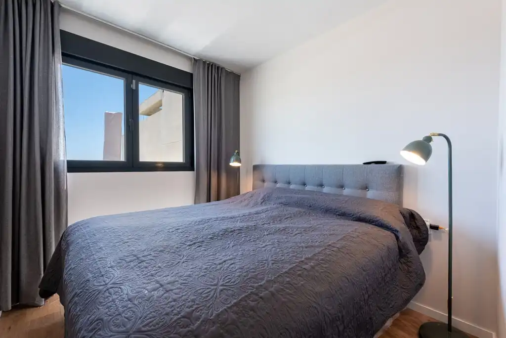 Penthouse with pool for sale in Las Lagunas, imagen 19
