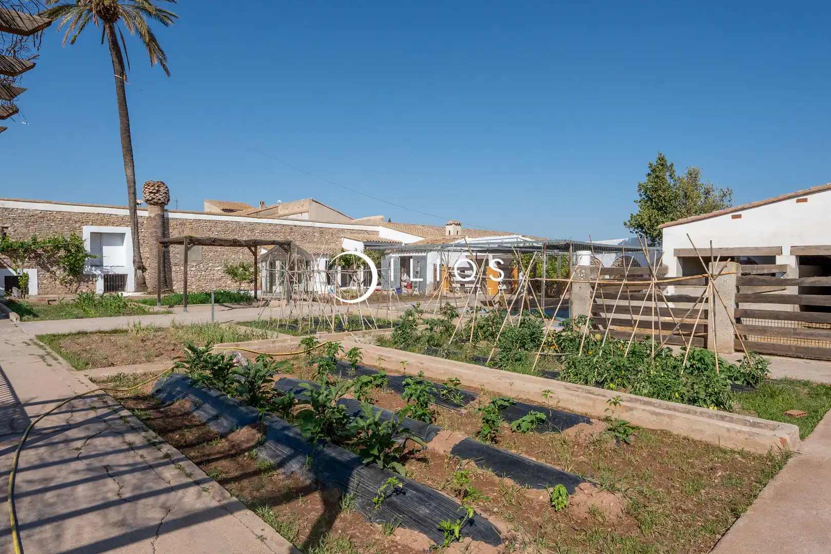 Garden of Country homes for sale in Olocau  with Private garden, Terrace and Storage room