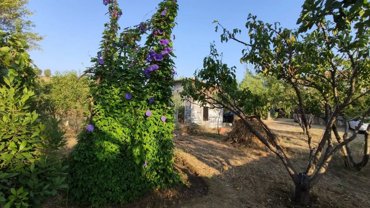Terreny residencial en venda a Carrer Llagostera 39c, imagen 22