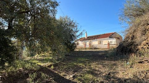 Foto 2 de Casa o chalet en venta en Calle Camino de Solano, Colmenar, Málaga