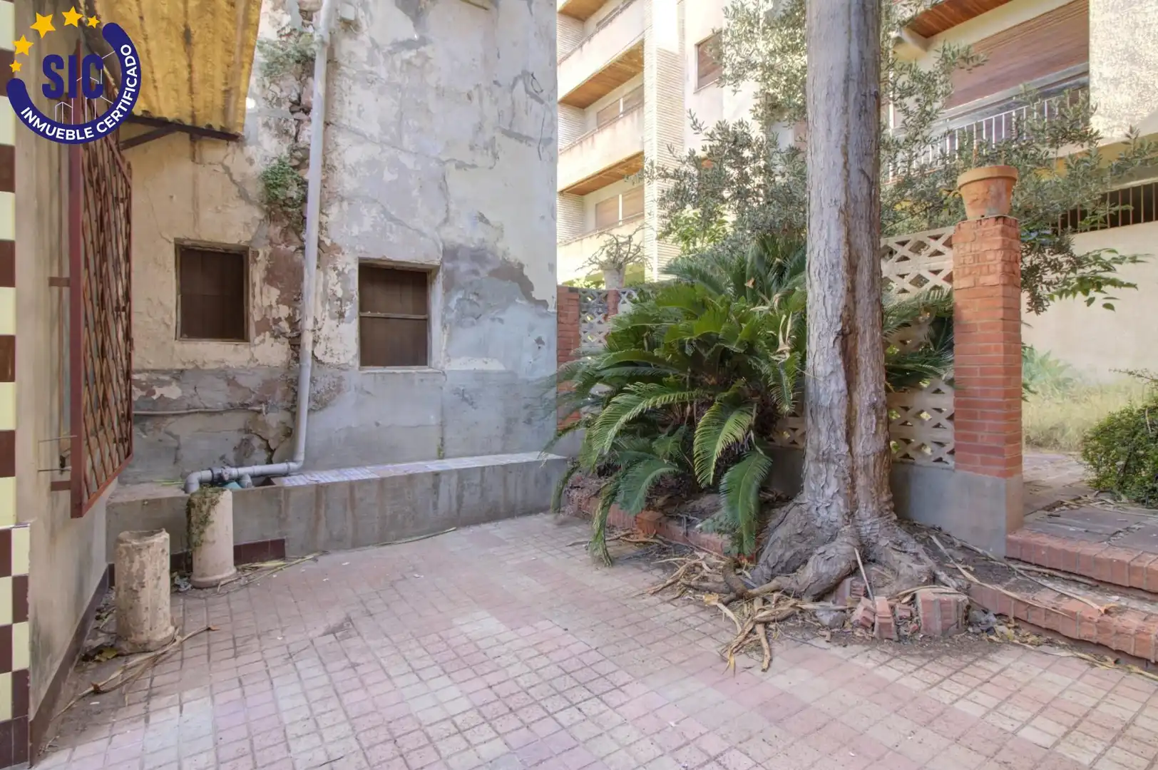 Jardín de Casa o chalet en venta en Almenara con Jardín privado, Terraza y Trastero