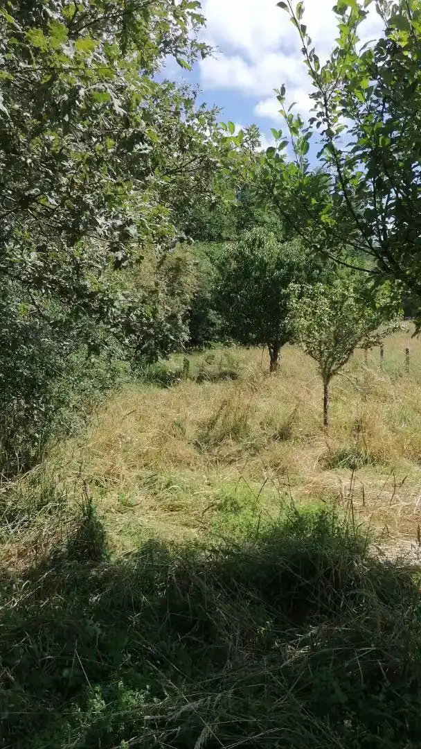 Casa o chalet en venta en Boborás
