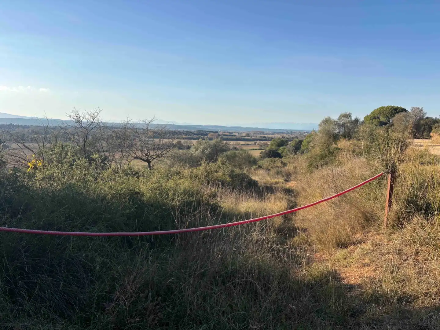 Terreny rústic en venda a Camino de Llabia a Palau S-numero, imagen 4