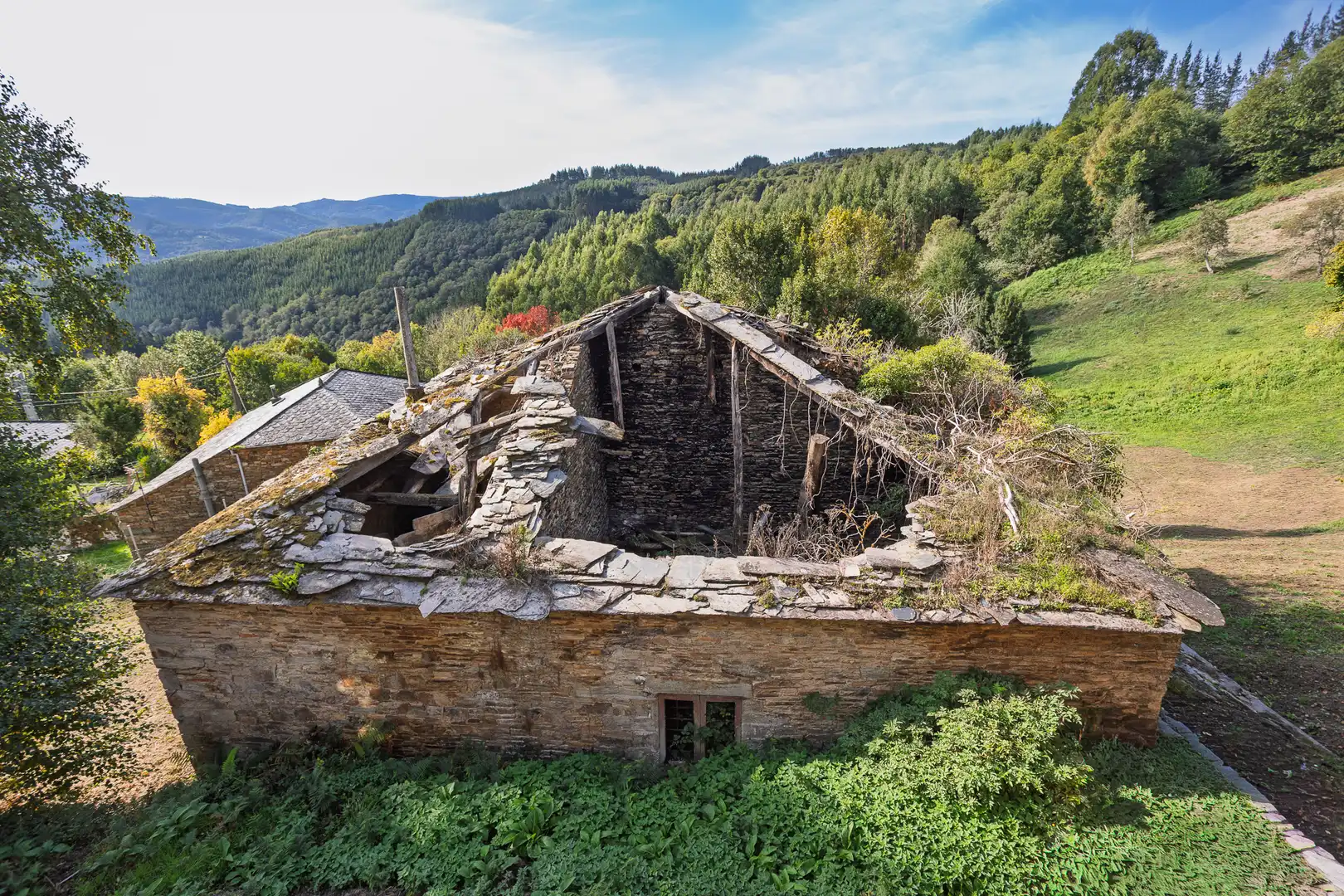 Vista exterior de Finca rústica en venta en A Fonsagrada  con Amueblado
