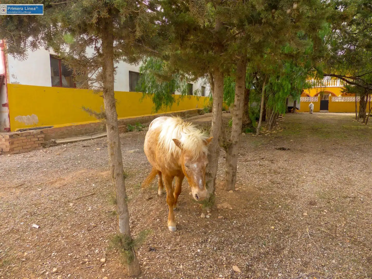 Vista exterior de Finca rústica en venda en Fuente Álamo de Murcia amb Calefacció, Jardí privat i Terrassa