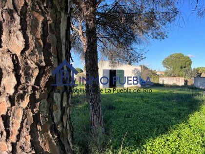 Residencial de lloguer en La Puebla del Río