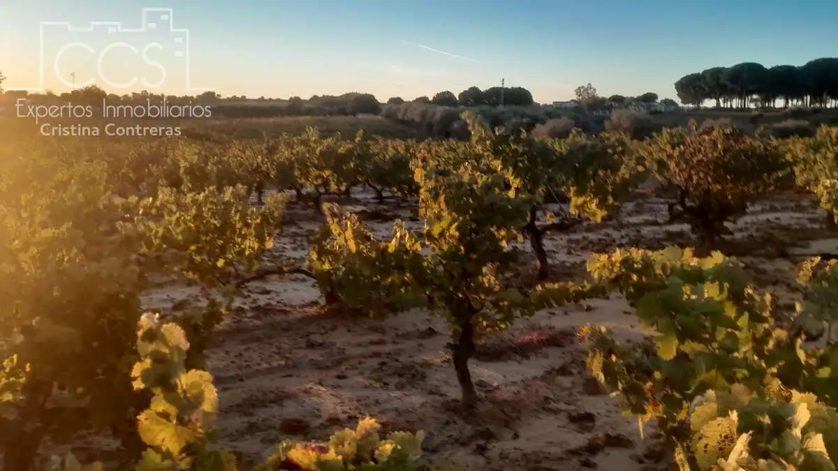 Terreno rustico in vendita a Almonte ciudad, imagen 2