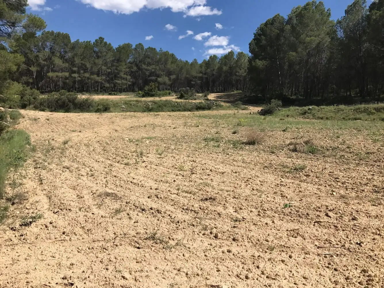 Terreny rústic en venda a Caravaca de la Cruz, imagen 7