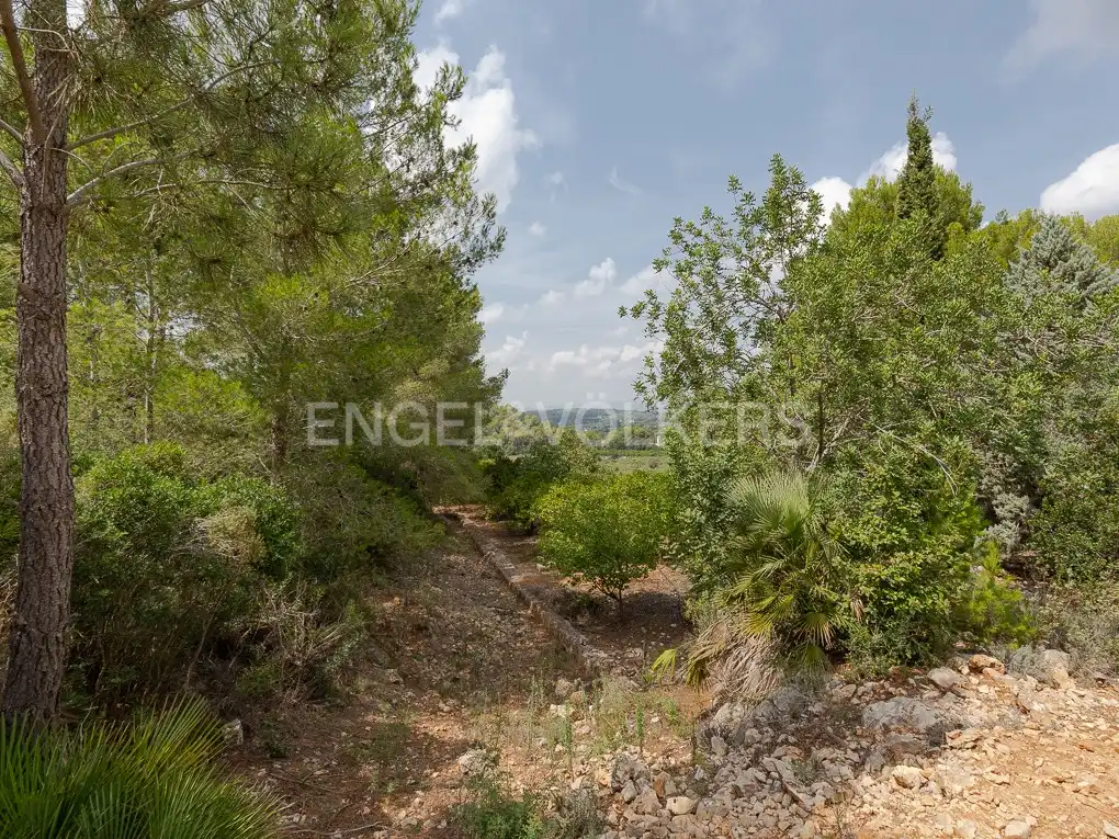 Houses for sale in Carcaixent  with Heating, Private garden and Terrace