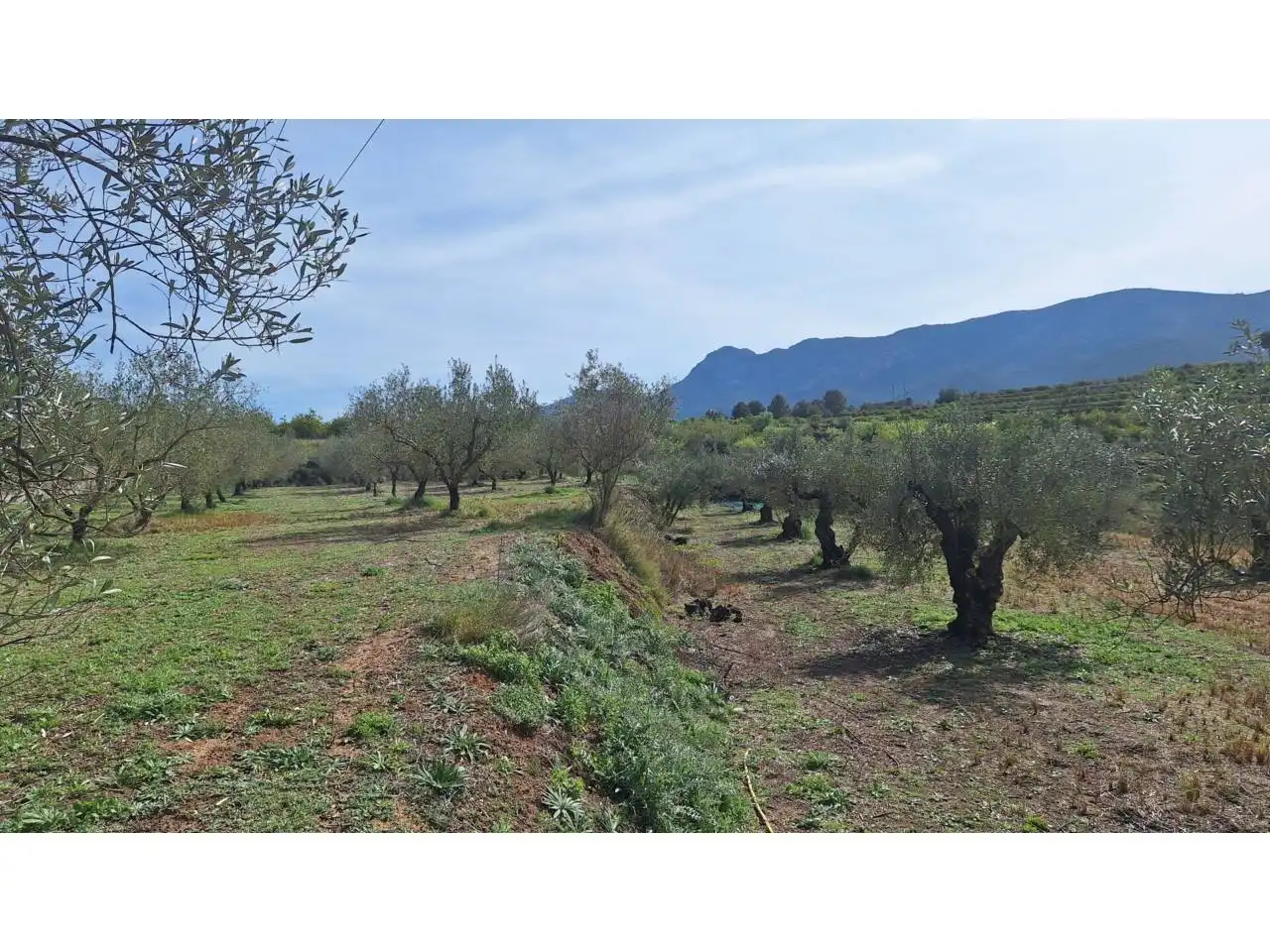 Terreno residencial en venta en Pasaje Alfogas
