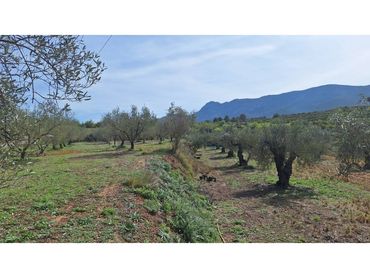 Wohnbaugrundstück zum Verkauf in Pasaje Alfogas