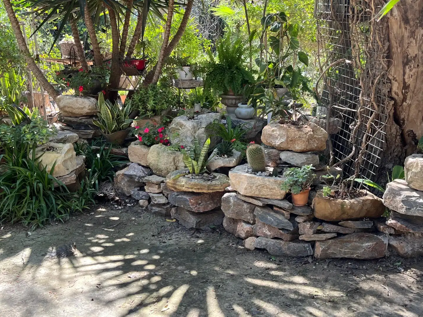 Jardín de Finca rústica de alquiler en Catral con Jardín privado