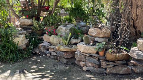 Foto 5 de Finca rústica de lloguer a Catral, Alicante