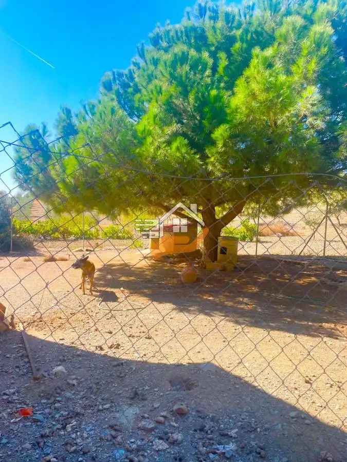 Finca rústica en venta en Lorca