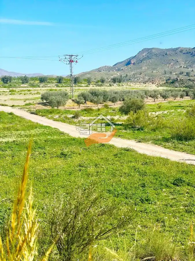 Lands and plots for sale in Pedanías Norte, imagen 6