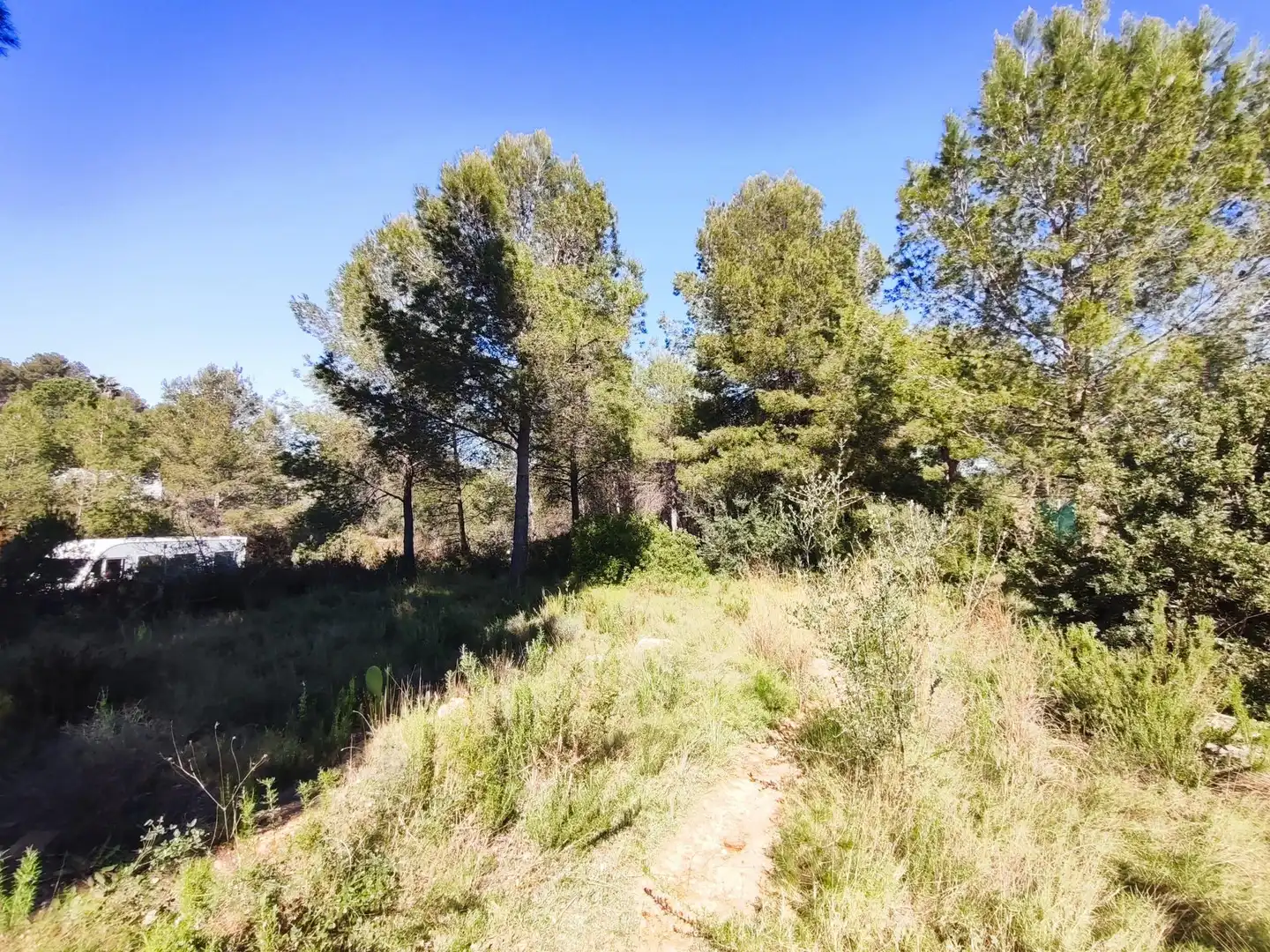 Terreno en venta en Alfara de la Baronia