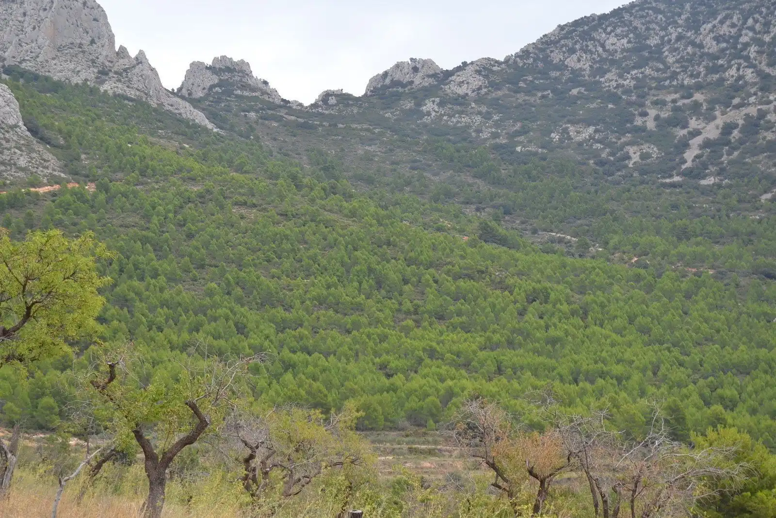 Finca rústica en venda en Sella