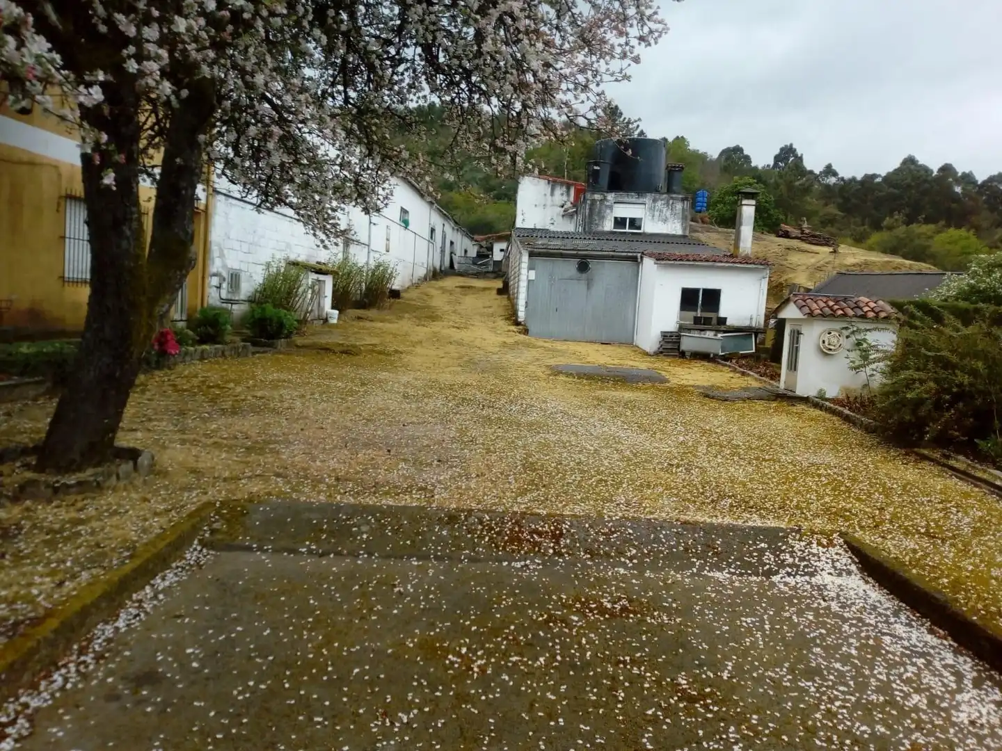 Xalet amb terrassa en venda a Camino Camino de la Regueira, imagen 22