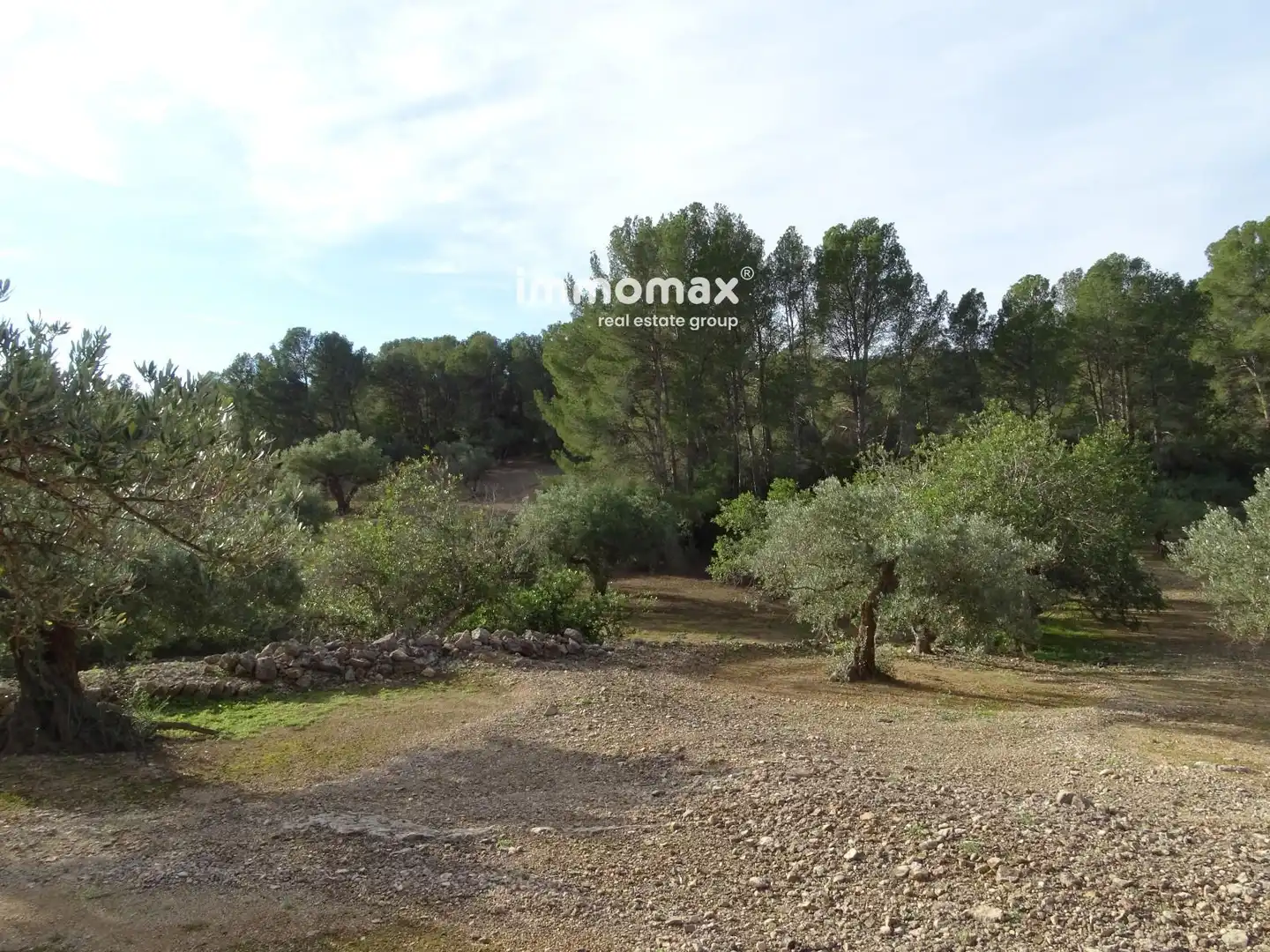 Terrain résidentiel à vendre à 16, imagen 5