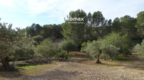 Finca rústica en venta en Xerta, imatge 5