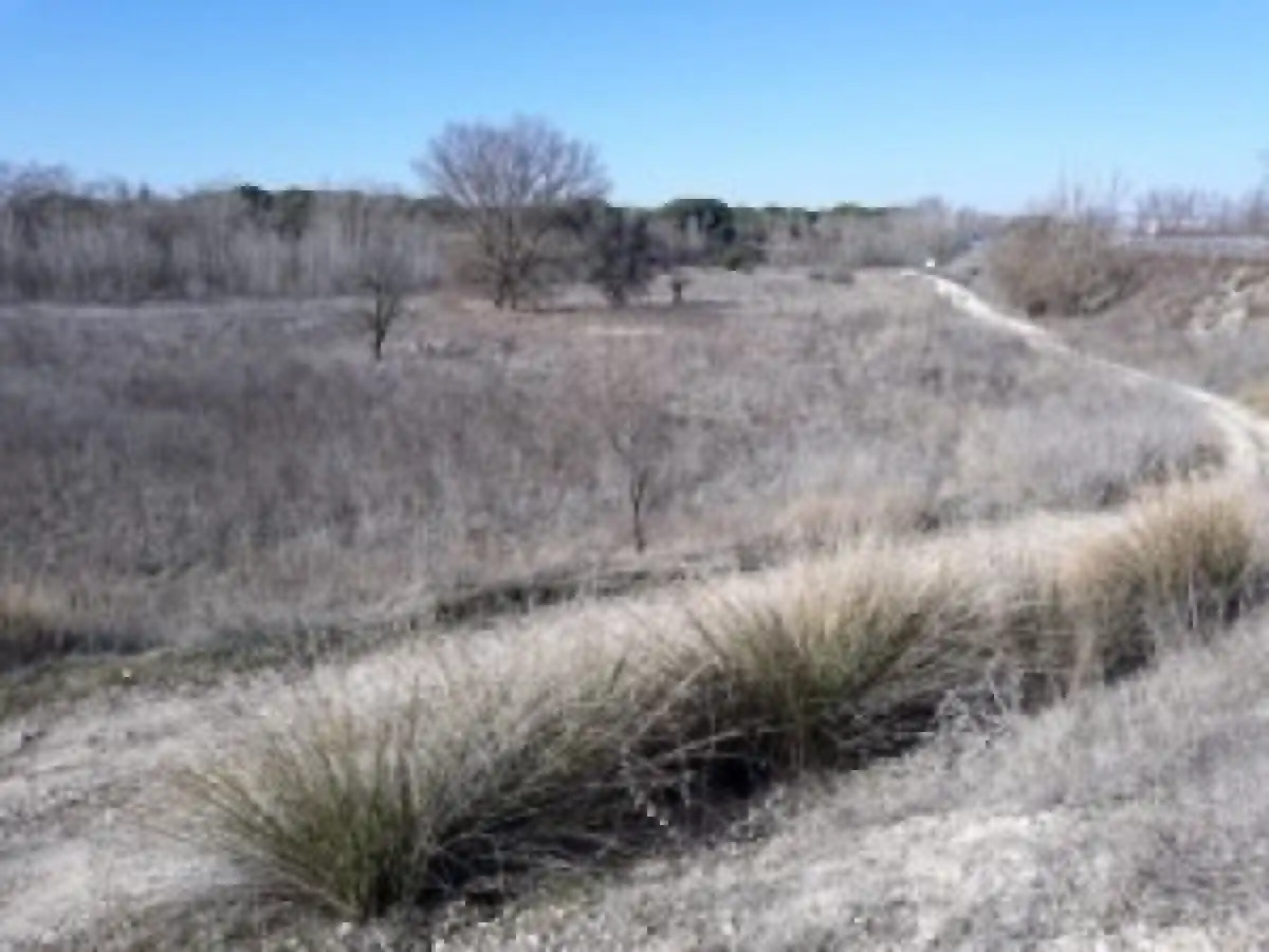 Terreno rustico in vendita a Tudela de Duero, imagen 6