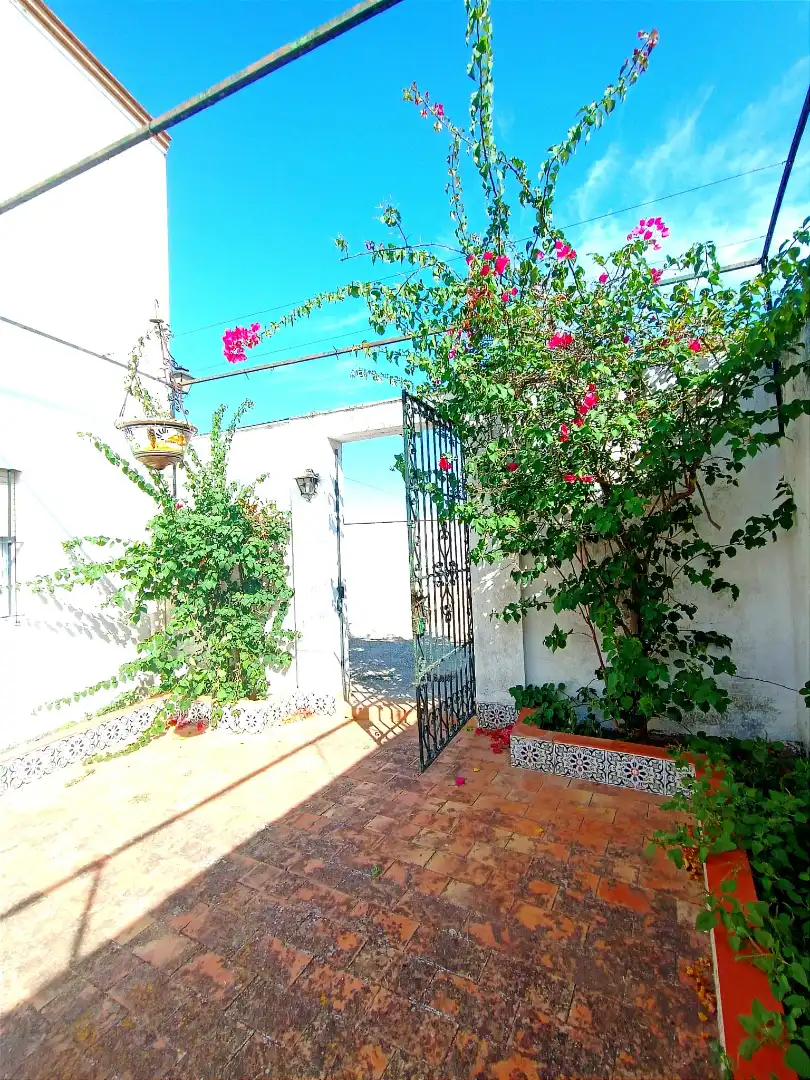 Casa pareada con terraza en venta en Avenida Alcaldesa María Regla Jiménez, imagen 9