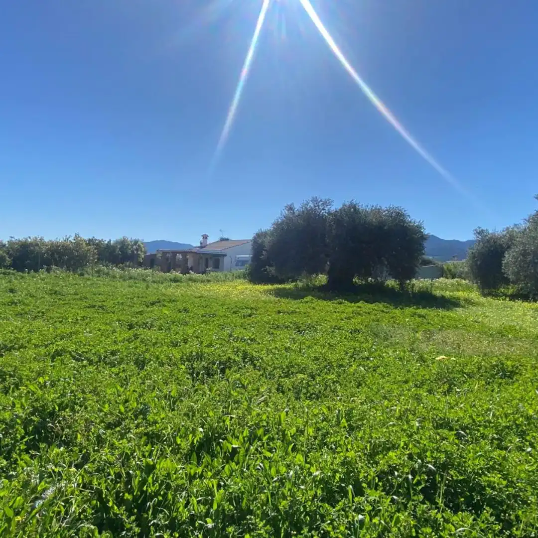 Terreno rustico in vendita a Alquería - Torrealquería, imagen 8