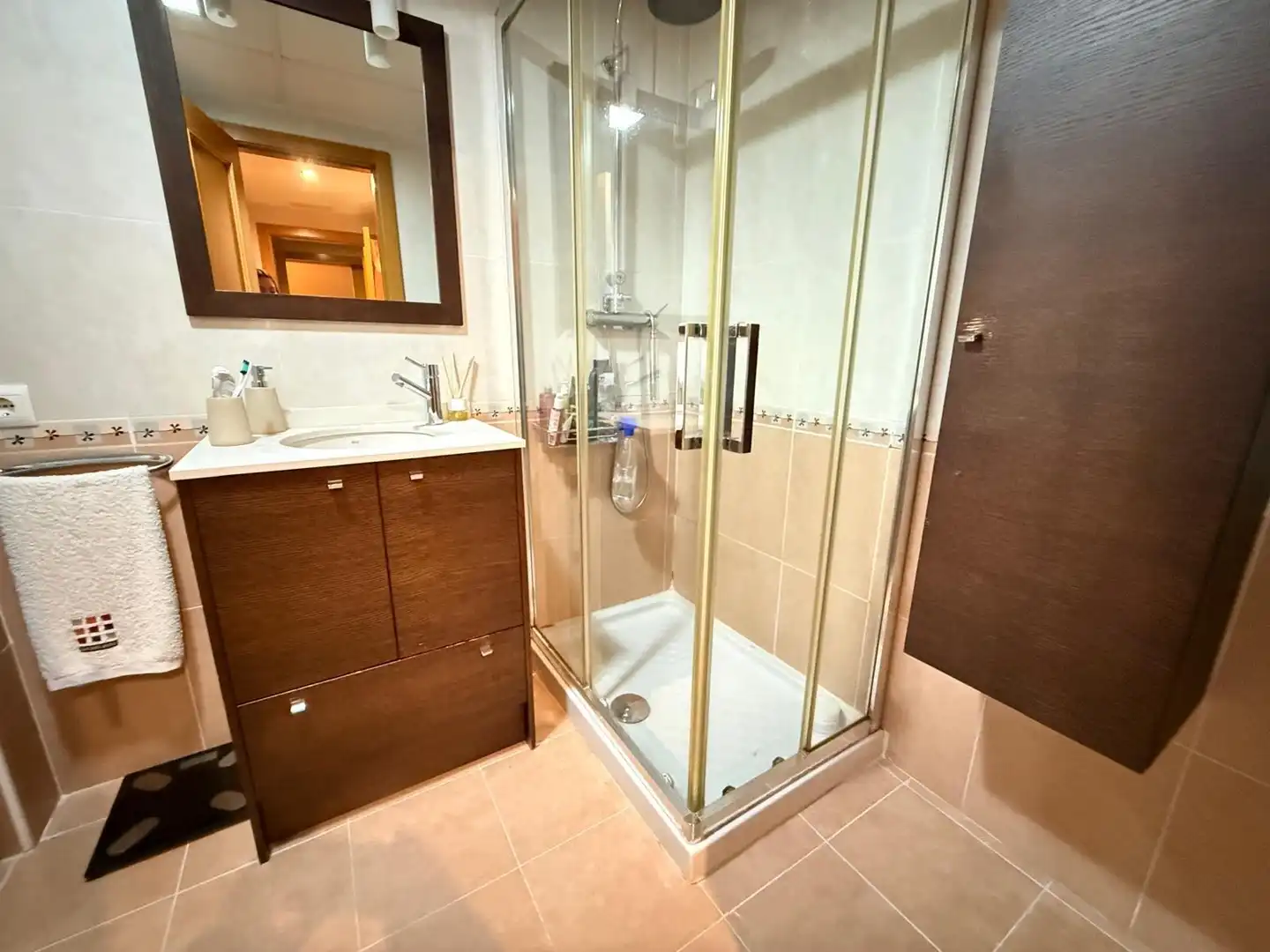 Bathroom of Attic for sale in San Vicente del Raspeig / Sant Vicent del Raspeig  with Air Conditioner, Heating and Private garden