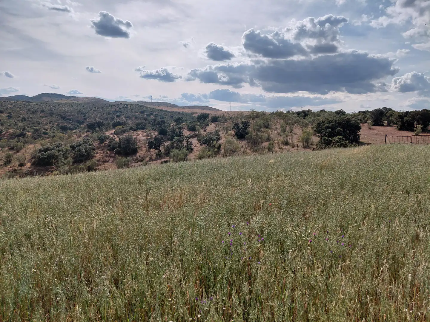 Finca rústica en venda en Fuente de Cantos amb Jardí privat, Forn i Rentadora