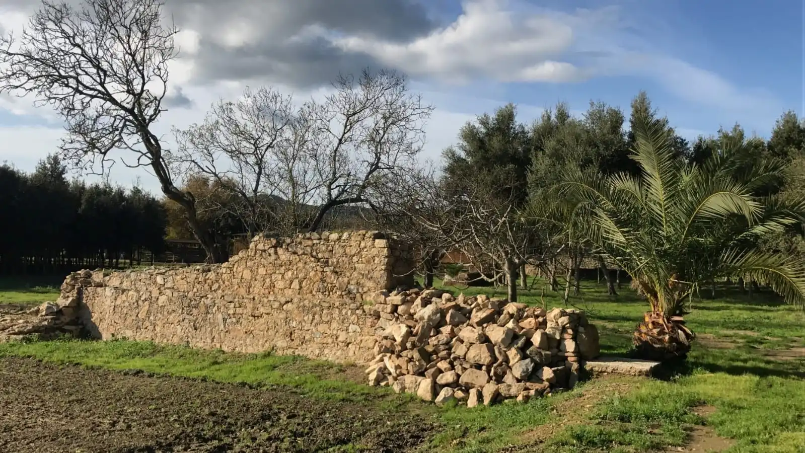Finca rústica en venta en Palafrugell con Aire acondicionado, Calefacción y Terraza