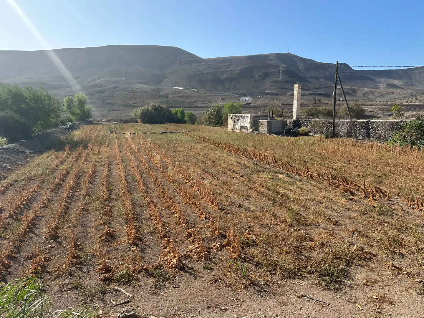 Finca rústica en venda en Pájara amb Jardí privat, Moblat i Forn