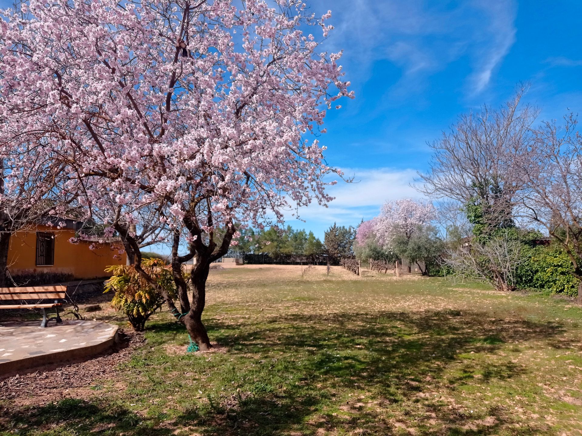 Jardín de Casa o chalet en venta en  Albacete Capital con Jardín privado, Terraza y Trastero