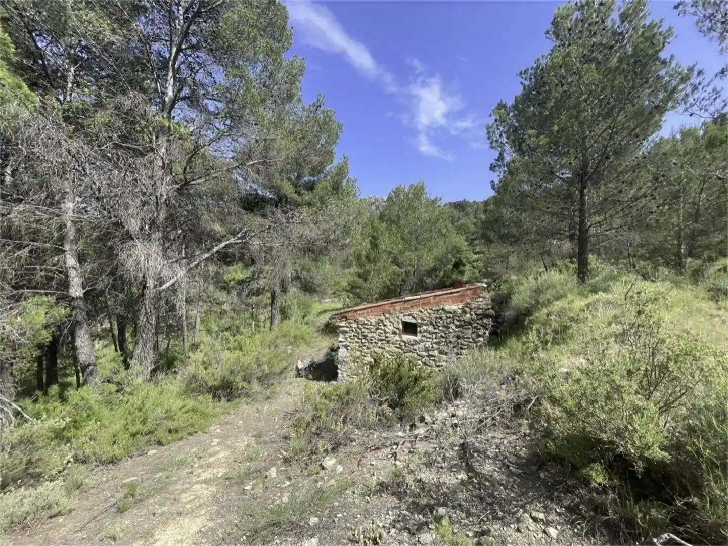 Country homes for sale in Confrides