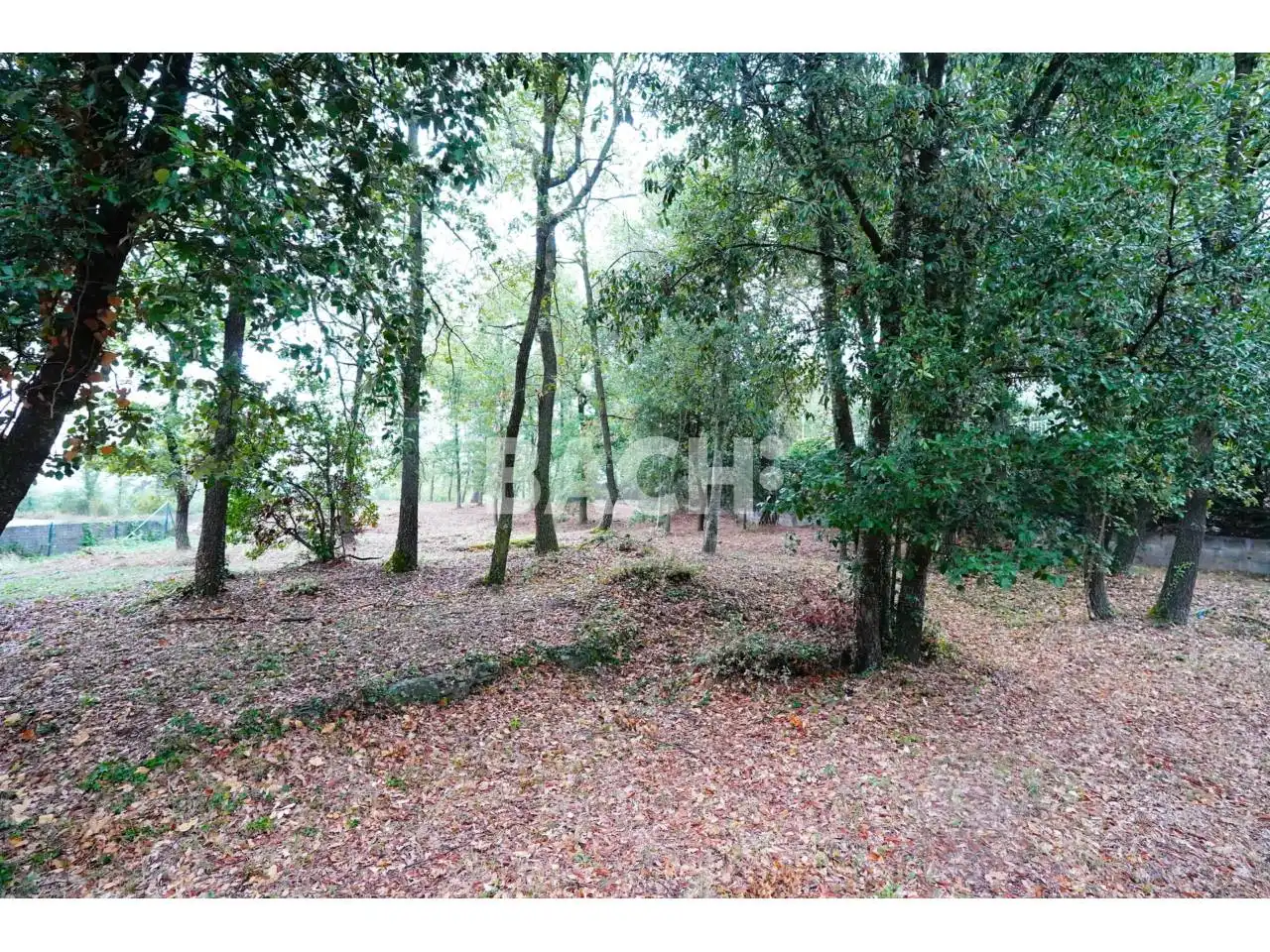 Terreno rustico in vendita a Avenida Goitallops 2, imagen 6